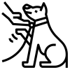 Cachorro png